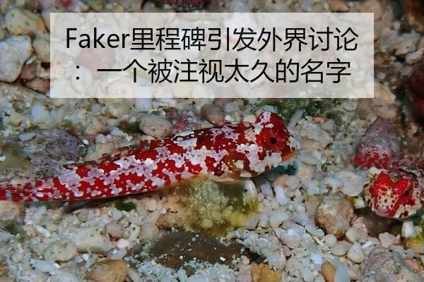 Faker里程碑引发外界讨论：一个被注视太久的名字